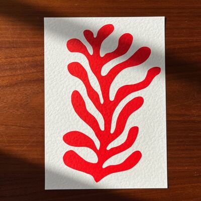Coral - A5 Lino Print - Red