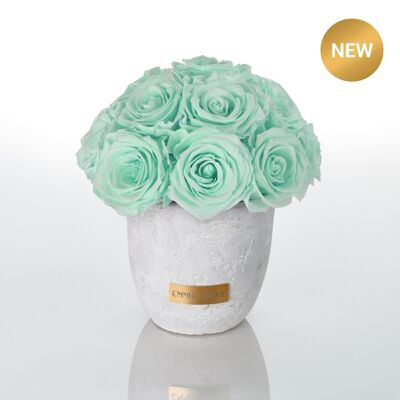 Premium Solid Splendid Infinity | Vert Menthe | S
