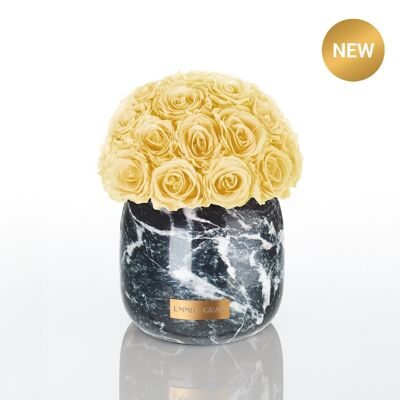 Infinito metallico di marmo premium | Champagne | M
