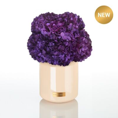 Hortensia Infinity Signature métallique de qualité supérieure | Violet Vain | L