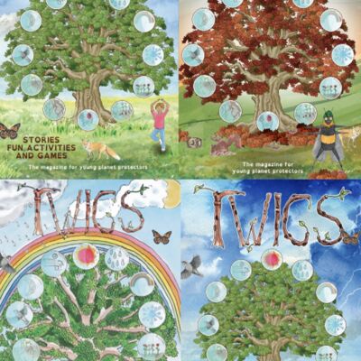 Twigs Activity Booklet