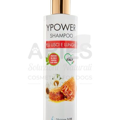 Ypower Shampoo Miele 250 ML