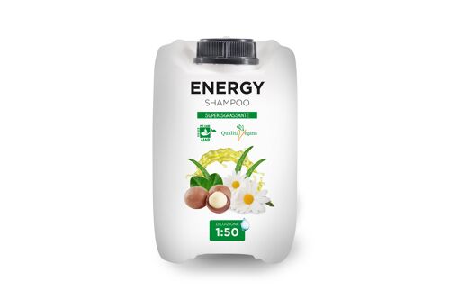 Energy Shampoo 1:50 Super Sgrassante 5 LT