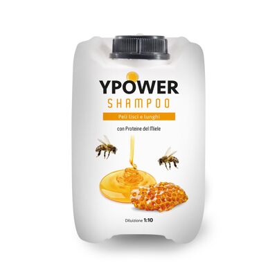 Ypower Shampoo Miele 5 LT