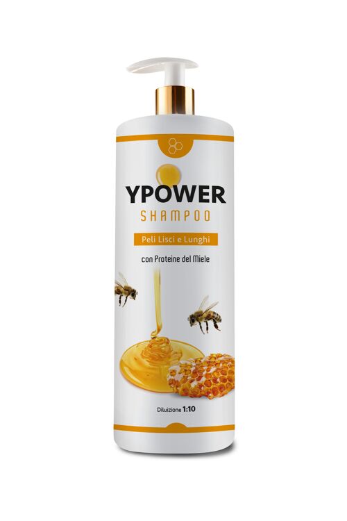 Ypower Shampoo Miele 1 LT