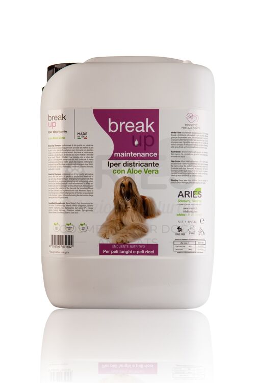 Break Up Shampoo Iper Districante 5 LT