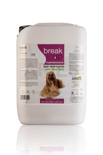 Break Up Shampooing Hyper Démêlant 5 LT