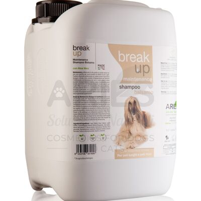 Break Up Shampoo&Balsamo Maintenance 5 LT