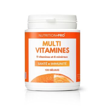 MULTIVITAMINES ET MINÉRAUX - 120 GÉLULES