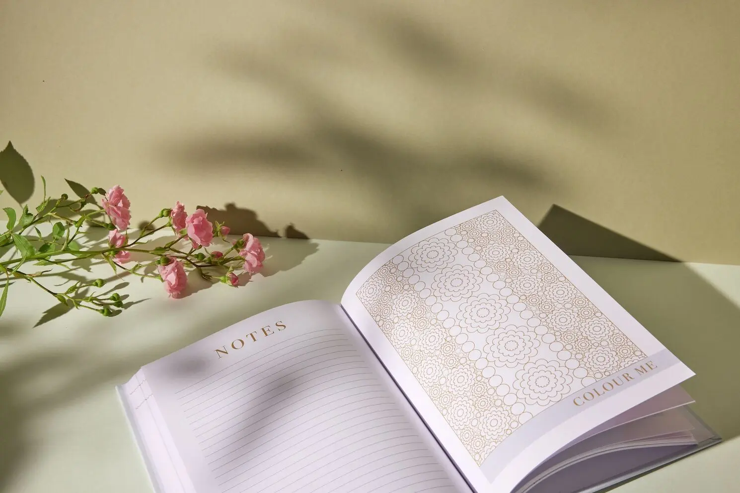 Mind Notes: Daily Wellbeing, Mindfulness & Gratitude Journal | Self Care, Self Gift