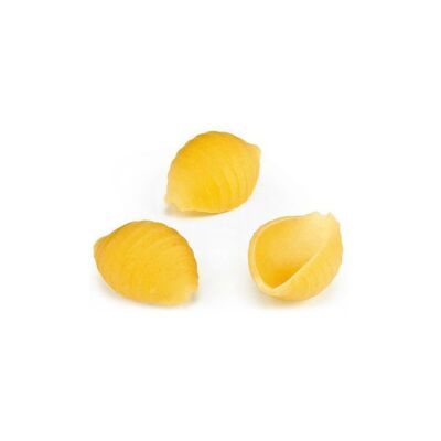 SACLA - Pasta Conchiglie rigate Bulk 5kg