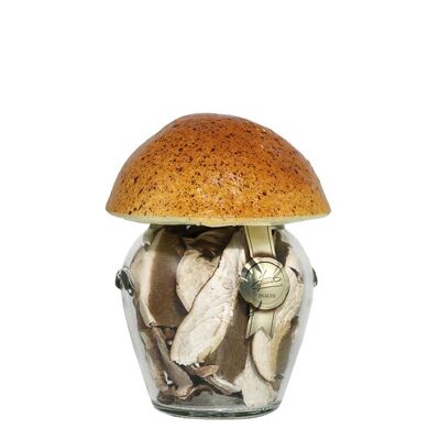 INAUDI - Dried porcini mushrooms 20gr