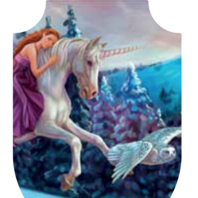 Fairy & Unicorn Shield