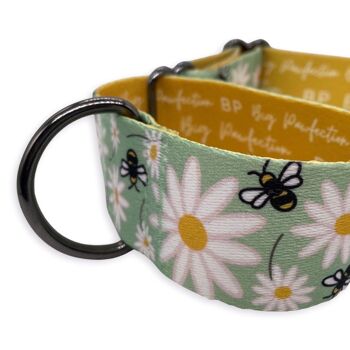 Buzz Floral | Collier Martingale | Petit moyen 5