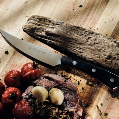 PUMA IP steak knife