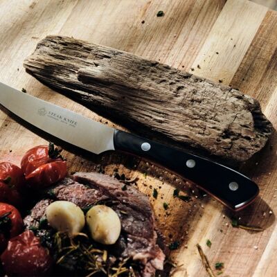 Cuchillo para bistec PUMA IP