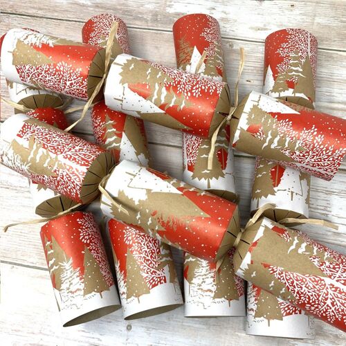 Plastic Free Christmas Crackers - White Christmas