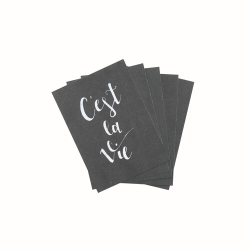 Housevitamin Postcard C'est la Vie - Set of 5 - A6