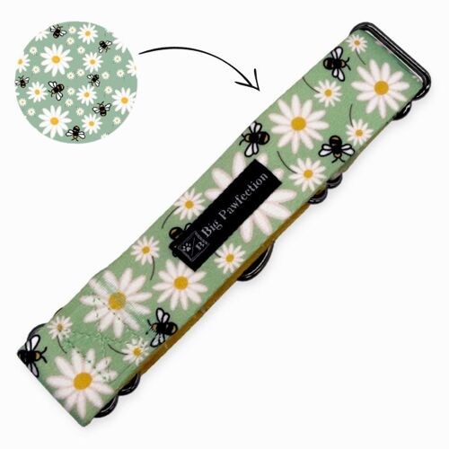 Floral Buzz | Martingale Collar | Medium-Large