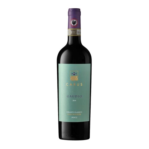 GAUDIO CHIANTI CLASSICO GRAN SELEZIONE DOCG 2016