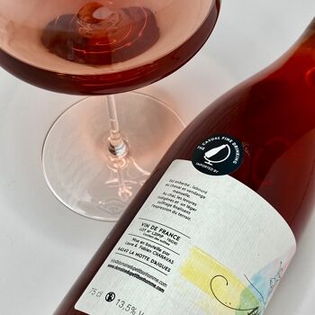 DOMAINE DU PETIT BONHOMME - Pipelettes - Vin naturel - Vin rosé - France - Provence 2