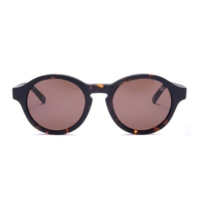 8433856069471 - Premium Valley Brown Uller Acetate Sunglasses for men and women