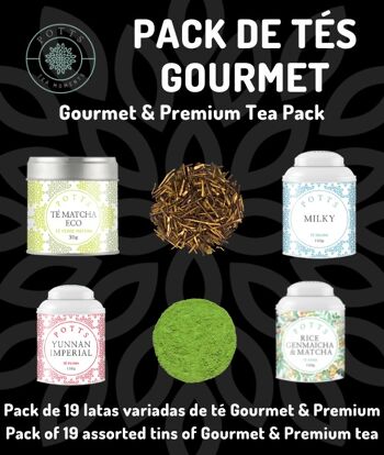Pack 19 canettes de thé Gourmet & Premium 1