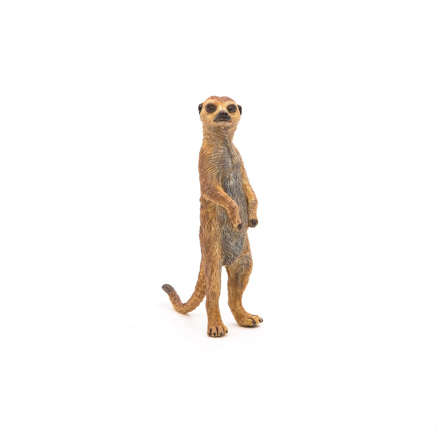 Papo - Figurine - Suricate debout - Collection LA VIE SAUVAGE - Ref. 50206