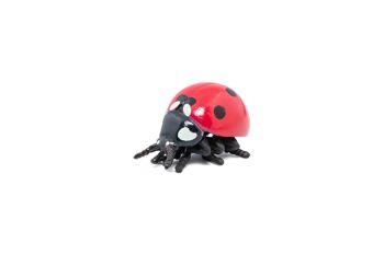 figurine, 50257, Coccinelle 3