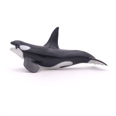 Papo - Figurine - Orque - Collection L'UNIVERS MARIN - Ref. 56000