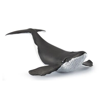 Papo - Figurina - Balena - Collezione MARINE UNIVERSE - Rif. 56035