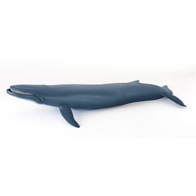 Papo - Figura - Ballena azul - Colección UNIVERSO MARINO - Ref. 56037