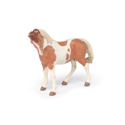 Papo - Figurina - Pinto mare - Collezione CAVALLI, PULEDRI E PONIE - Rif. 51094