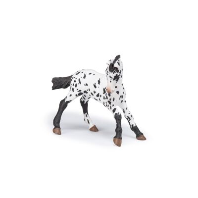 Papo - Figurine - Poulain appaloosa noir - Collection CHEVAUX, POULAINS ET PONEYS - Ref. 51540