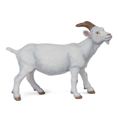 Papo - Figurina - Capra Bianca - Collezione FARM LIFE - Rif. 51144