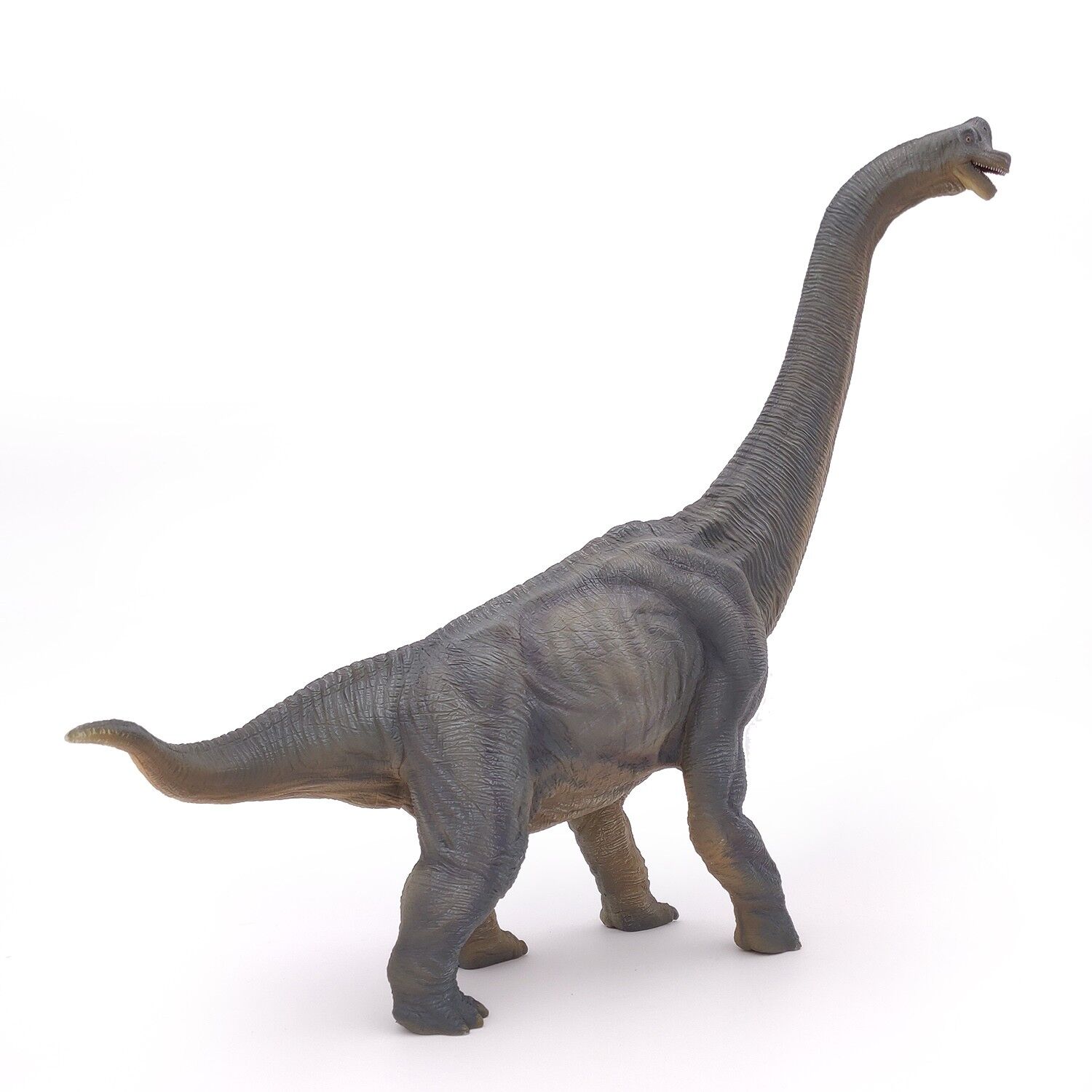 Papo - Figurine - Brachiosaurus - DINOSAURS Collection - Ref.55030