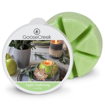 Apple Gathering Goose Creek Candle® Wax Melt