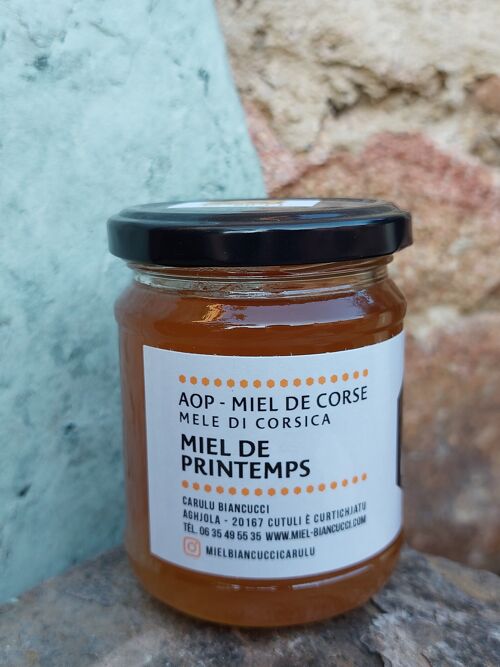 Miel de printemps - Miel AOP de Corse - Mele di Corsica