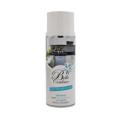 Elettrodomestici con vernice spray bianca