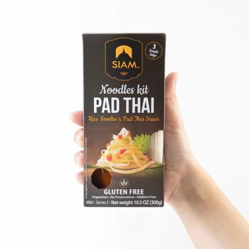 Pad Thai noodles kit 300g 2