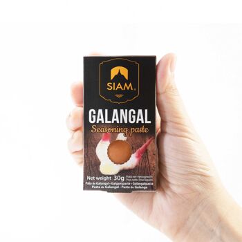 Galangal paste 30g 2