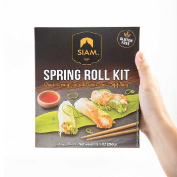 Spring Roll Meal kit 260g 2