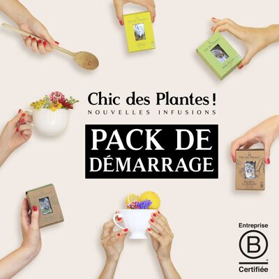 PACK MEILLEURES VENTES - 42 BOÎTES DE 12 SACHETS