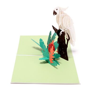 Carte pop-up animal perroquet blanc