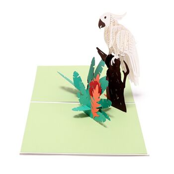 Carte pop-up animal perroquet blanc 1