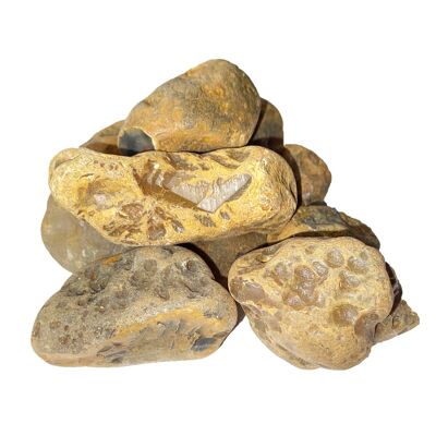 Raw stones Agate - 1Kg