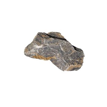 Pierre brute Stromatolithe 1