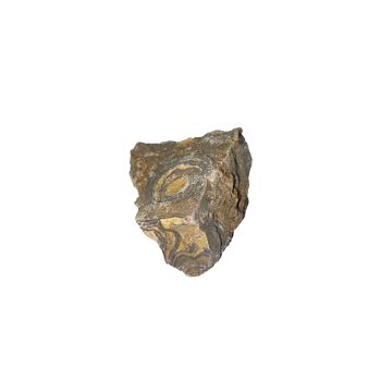 Pierre brute Stromatolithe 2