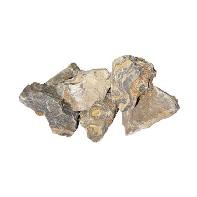 Pierres brutes Stromatolithe - 500grs