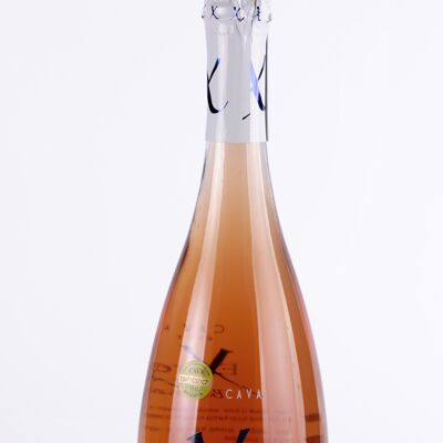 BONAVAL EXTREM CAVA ROSADO 11.5% BOT 75CL